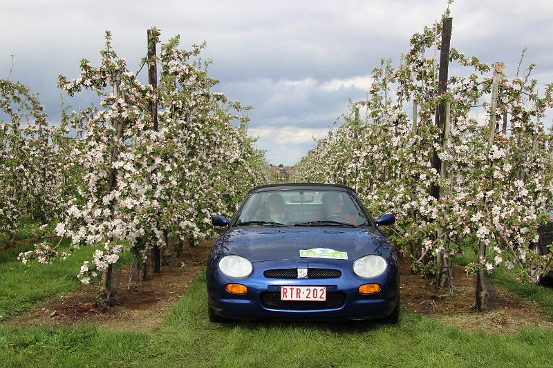 MG Bloesemrit op 24-4-2016 org. Jos&Marie-lou  (260).JPG